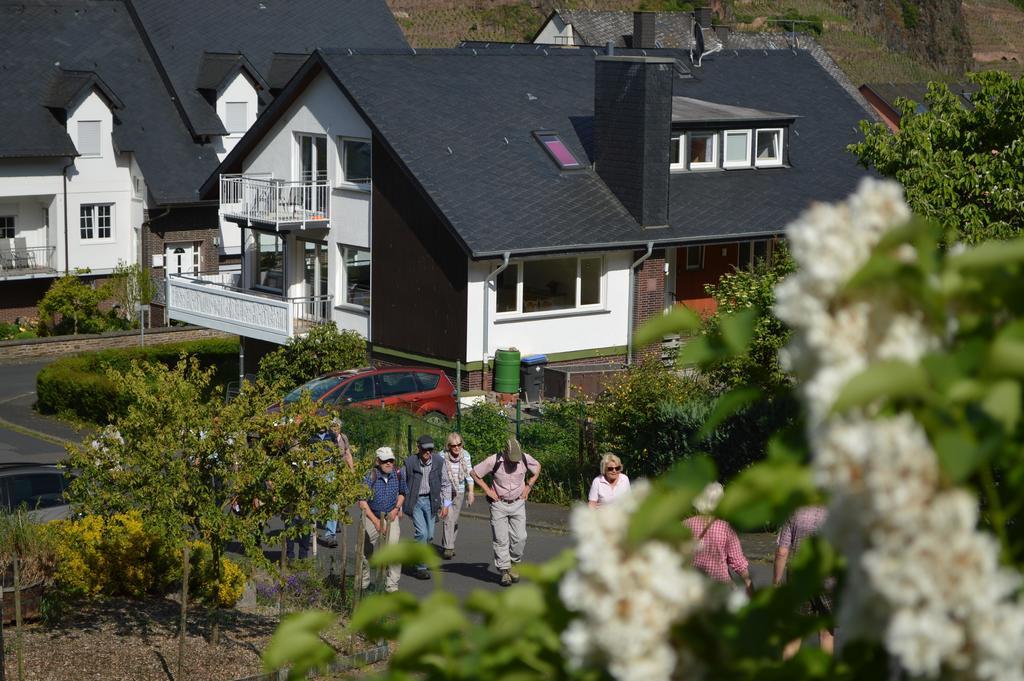 Appartement Weingut Im Moselkrampen à Ellenz-Poltersdorf Extérieur photo