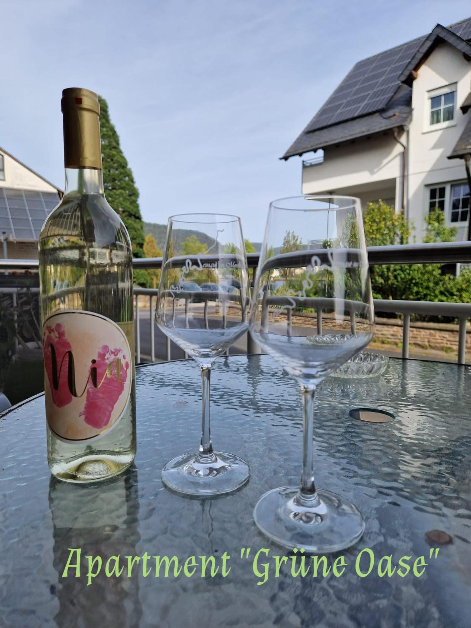 Appartement Weingut Im Moselkrampen à Ellenz-Poltersdorf Extérieur photo
